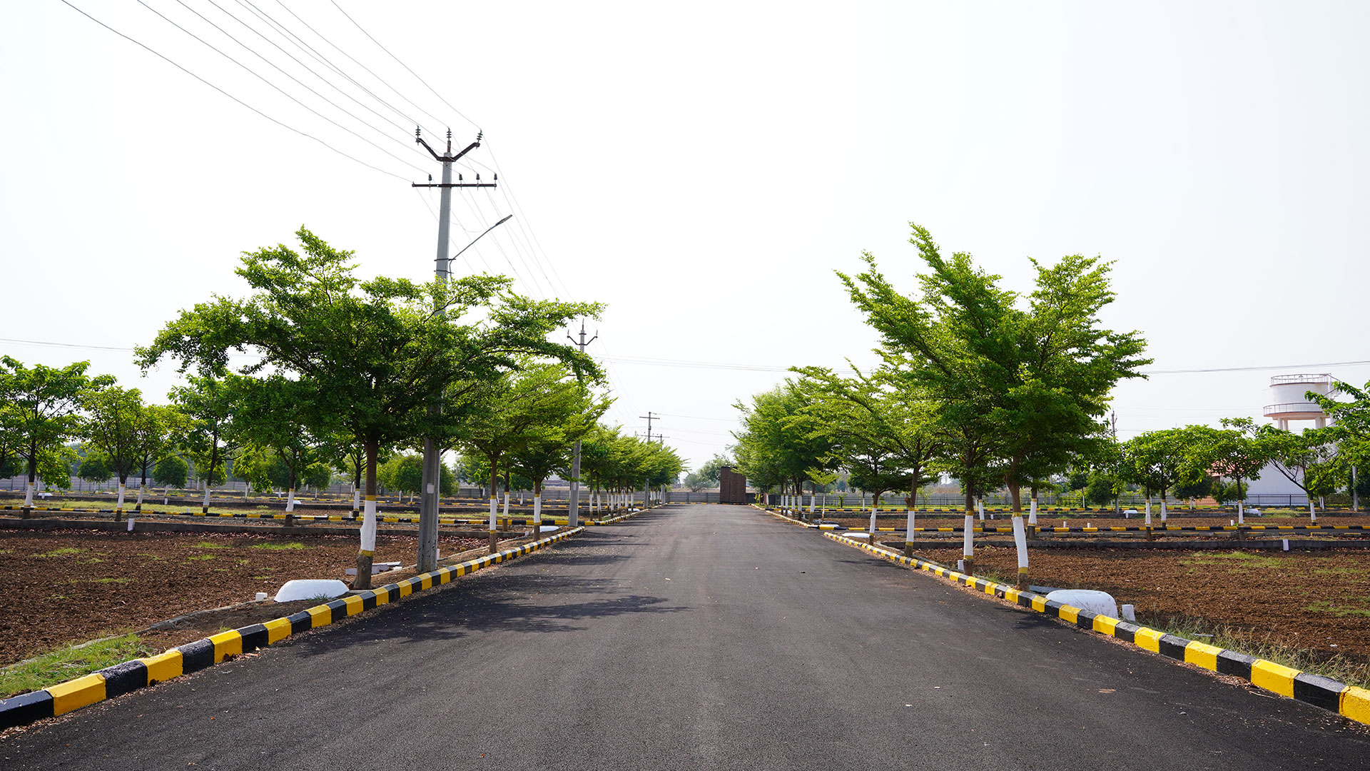gallery_007